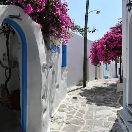 Maison D'elli Holiday home *